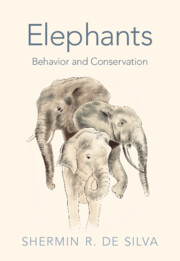 elephants book cover